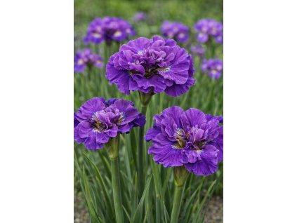 fbe91776 4d2d 47c8 9b7a 83f5ec3bbf3e