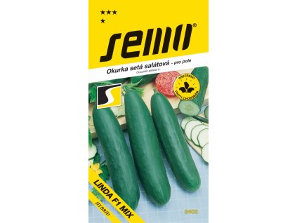 okurka salat linda f1 mix pole 1 3g