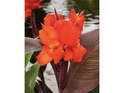 A2820A4E 9A07 428B A0BB 16FADF71ACA6