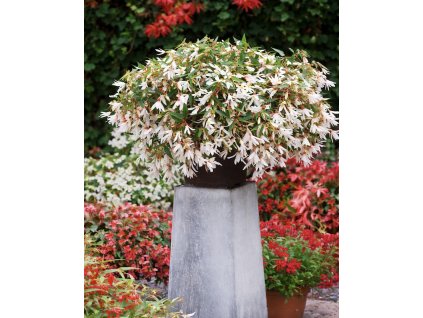 2AEAB6DE 6F4E 4E42 BD90 6A0923D03A94