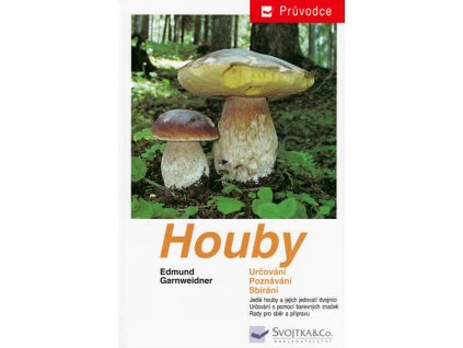 large 2