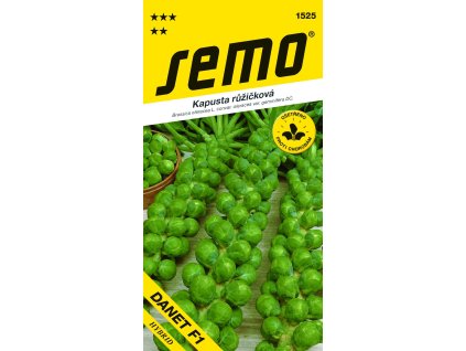 kapusta ruzickova danet f1 50s