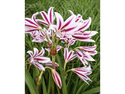 2912E6A1 B660 4750 932B 58D33F6B400E