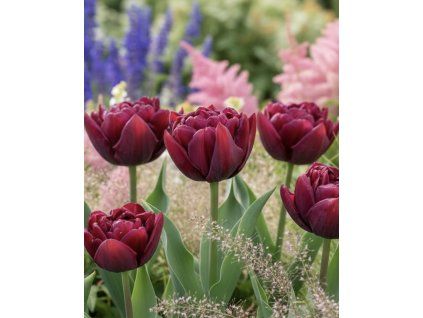 garden design 32