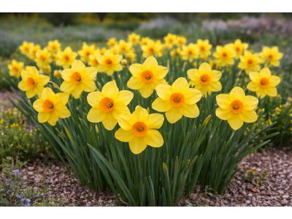 8e4501eb 7457 4030 ab96 272181a0d330