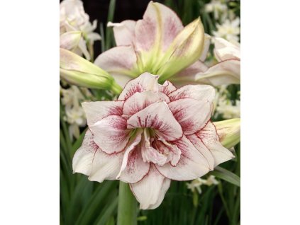 319DD638 6119 46BB BC1F 485484D2CA18