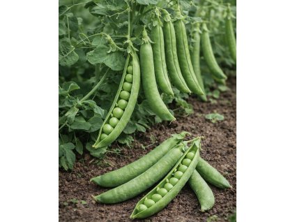 5DA93B86 0735 4142 9F87 065C13F08937