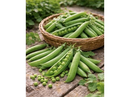 E584D75F 3981 4004 9914 392EB8E1E46C