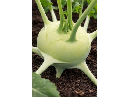 ChatGPT Image 10. 2. 2026 09 26 52