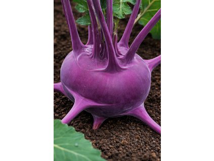 ChatGPT Image 10. 2. 2026 09 28 06