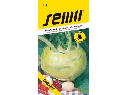 kedluben bily gigant pozdni pro pole 0 8g