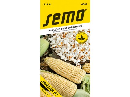 4601 kukurice puk. jantar f1