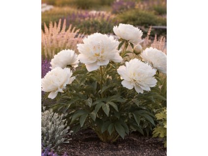 72AB3D21 8267 442B 87FD D28C12FAB34A