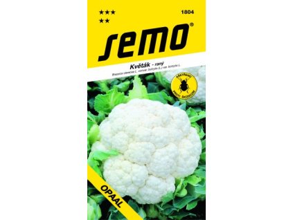 vyr 4467Kvetak OPAAL 40s osivo SEMO 1804