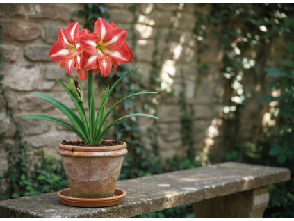 garden ai creation (7)