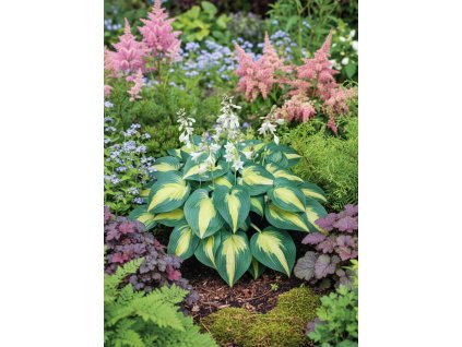 garden design 1769432298507