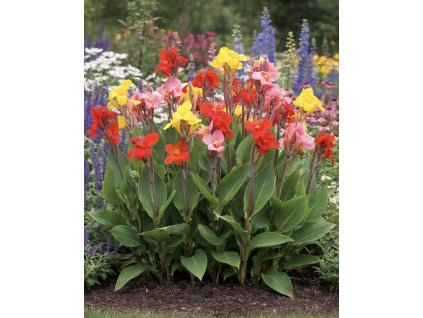 7B61916E 6B15 4BFB B02E 485ED9E5D5F4