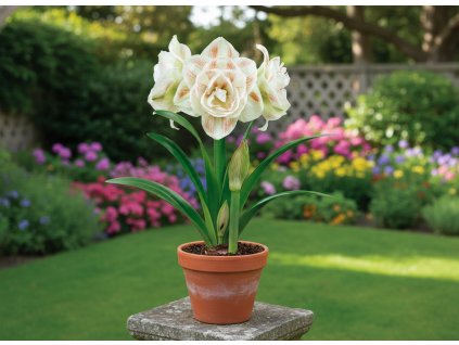 garden ai creation (2)