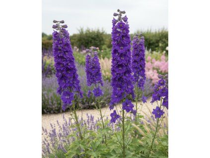 garden design 20
