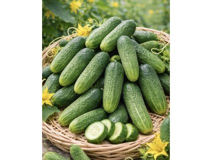 ADD130CF CC9F 43DE 8502 ACB5389CB9D0