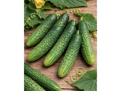 BF54A58B 5A7D 4246 9CC3 F9C9668D2D8C