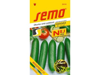 1457 1 okurka salatova minisprint f1 10 s