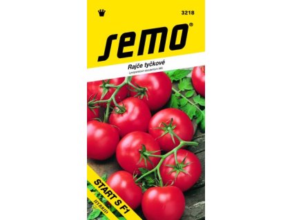 1520 1 rajce tyckove start f1 60 s