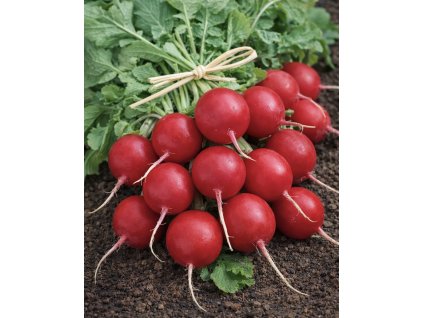 C3BE1BEE 9CDC 46BC 878F BF4399C0AAC4