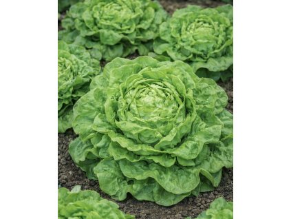 227012DC 8853 424D ADB9 9C44EEA00449