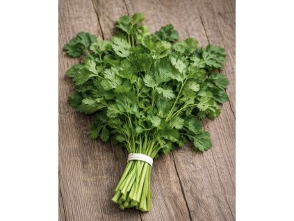 3D05AAF7 055A 4FBB 9B1C 341196DA56BB