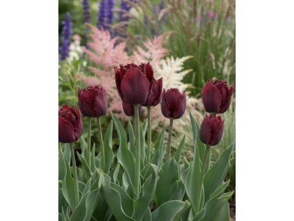 garden design 34