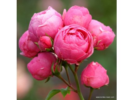 2f449171553c0e31728b81cf4dba367bb2b54de2