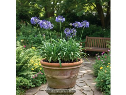 garden ai 1769687501949