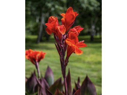 B0891BD4 A7CB 4537 8EA4 5C2216654ABE