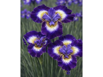 D39748DB D390 45B8 9A4E AAADCB9DD174