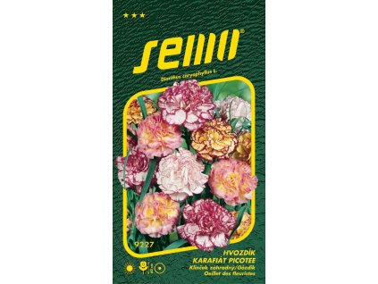 hvozdik karafiat chabauduv picotee 0 25g