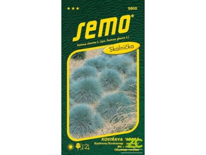 7c5d2ff8 908c 40c6 a921 7344b0a81e9e