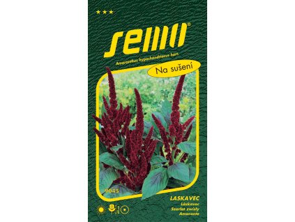 laskavec ocasaty pygmy torch cerveny 0 5g