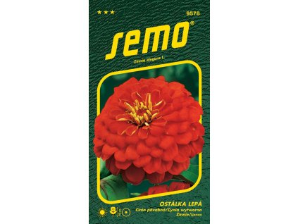 ostalka lepa cherry queen cervena 0 7g