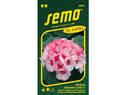 pelargonie paskata horizon star f1 11s