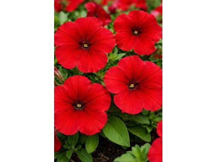 ChatGPT Image 10. 2. 2026 09 31 27