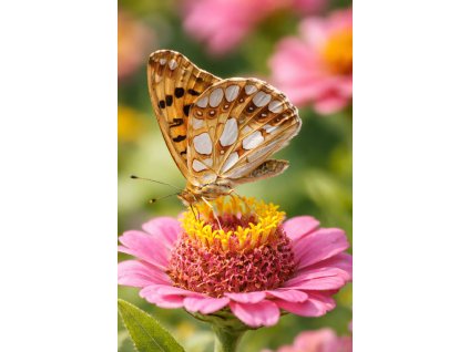 ChatGPT Image 10. 2. 2026 08 12 36