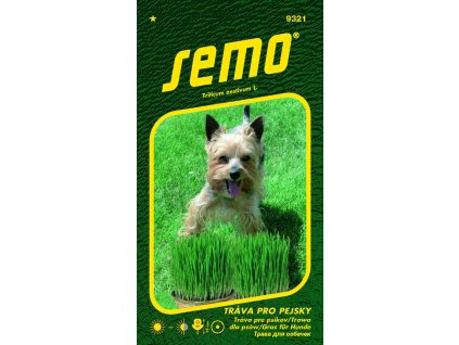 trava pro pejsky 10g