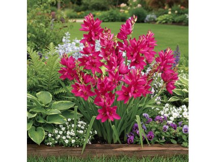 garden canvas 98ba9845 bcce 477c 8567 4ccfef0c4426