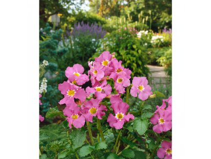 garden canvas f8f6e6bc 8284 4fc1 8986 bf4fee385163