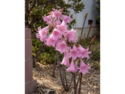 BE576AD7 30D3 4717 A378 321C09D7A093