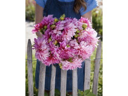 8770D466 D2D4 4D43 994A 24FB82F18A40