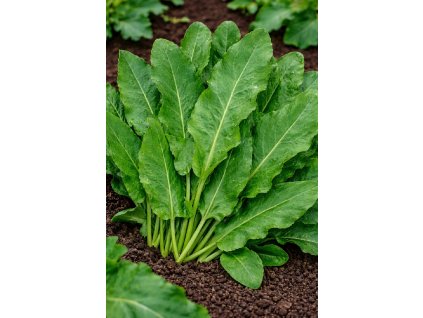 ChatGPT Image 10. 2. 2026 09 37 01