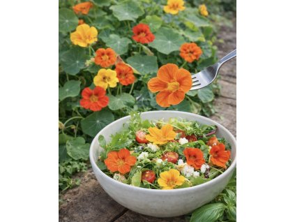 DD1FB1AE E38F 4D71 984A C708FCEF9CAA