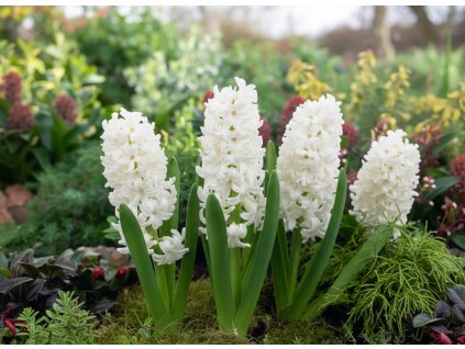 garden ai creation (8)